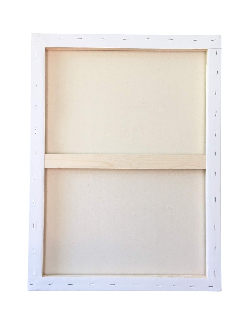 milo Pro Stretched Artist Canvas | 24x30 inch | Pack of 4 | 3/4â€ inch Thick Studio Profile | Ready to Paint 11 oz Primed Heavy Duty Large Canvas Art Supplies for Painting - Image 4